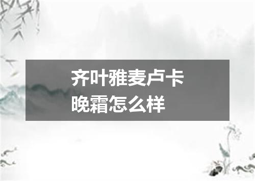 齐叶雅麦卢卡晚霜怎么样
