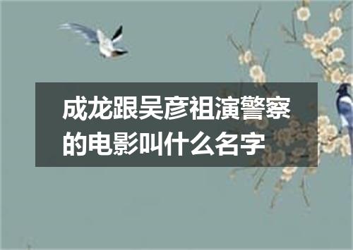 成龙跟吴彦祖演警察的电影叫什么名字