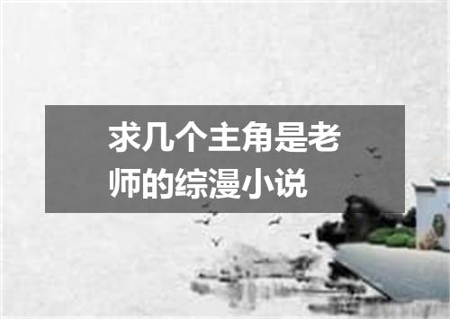 求几个主角是老师的综漫小说