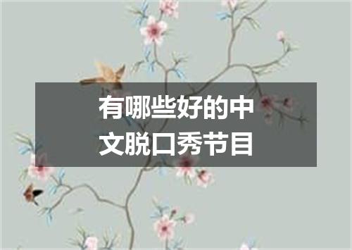 有哪些好的中文脱口秀节目