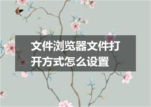 文件浏览器文件打开方式怎么设置