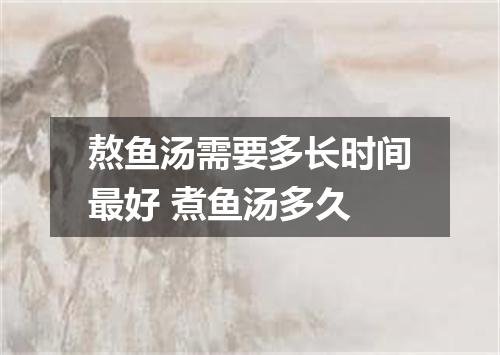 熬鱼汤需要多长时间最好 煮鱼汤多久