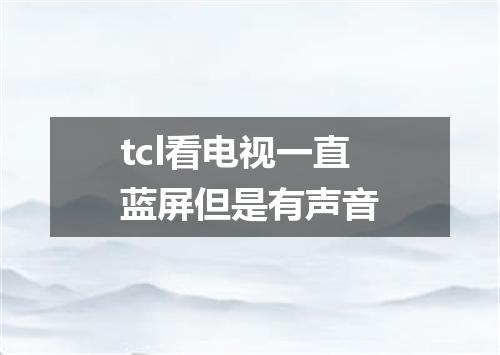 tcl看电视一直蓝屏但是有声音