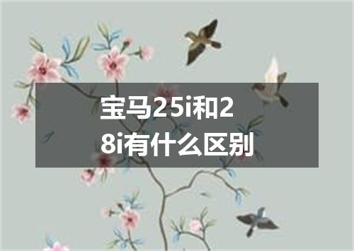 宝马25i和28i有什么区别