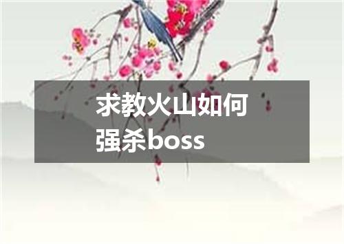 求教火山如何强杀boss