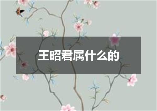 王昭君属什么的