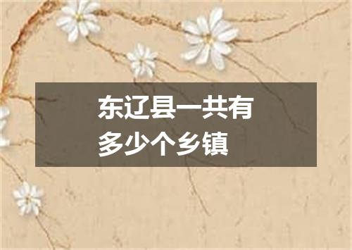 东辽县一共有多少个乡镇