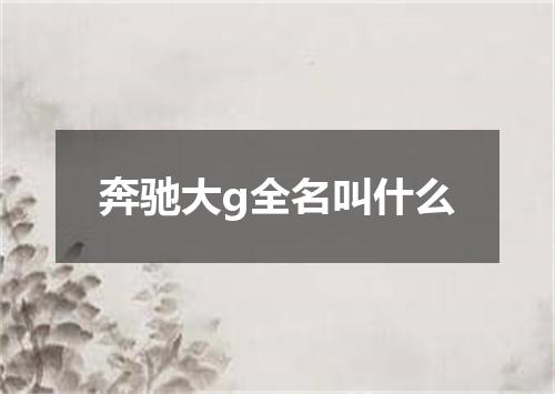 奔驰大g全名叫什么