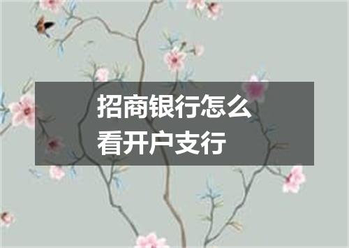 招商银行怎么看开户支行