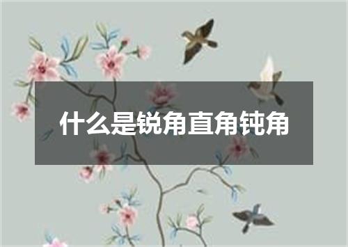 什么是锐角直角钝角