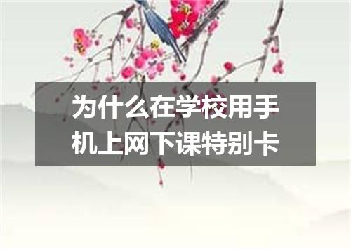 为什么在学校用手机上网下课特别卡
