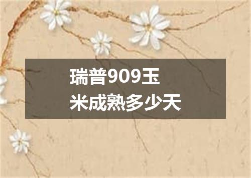 瑞普909玉米成熟多少天
