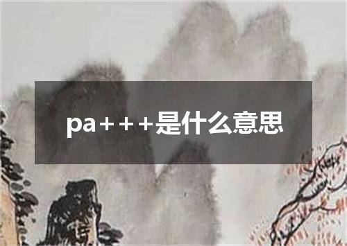 pa+++是什么意思
