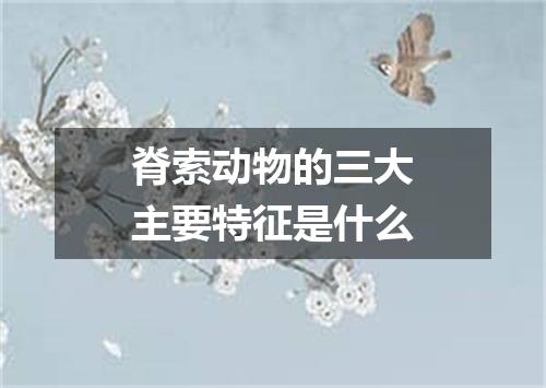 脊索动物的三大主要特征是什么