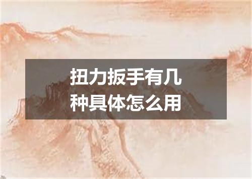 扭力扳手有几种具体怎么用