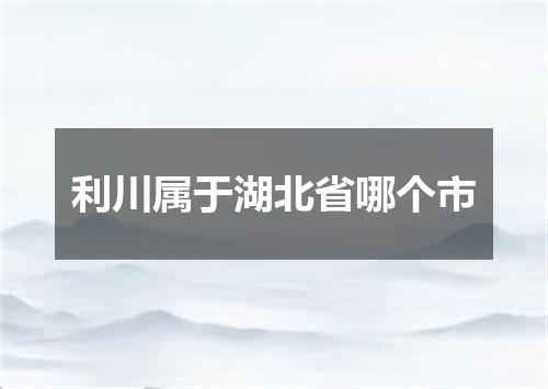 利川属于湖北省哪个市