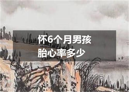 怀6个月男孩胎心率多少