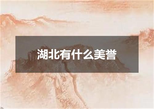 湖北有什么美誉