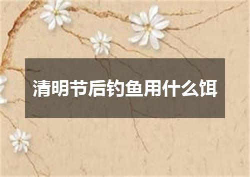 清明节后钓鱼用什么饵