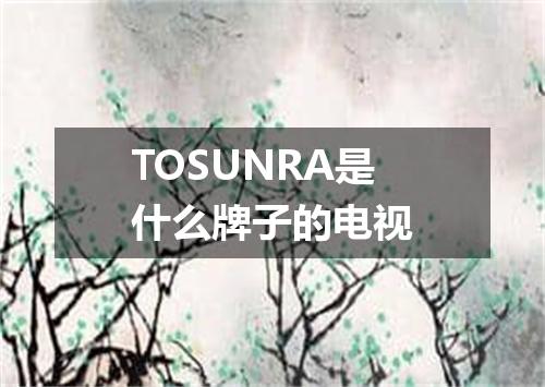 TOSUNRA是什么牌子的电视