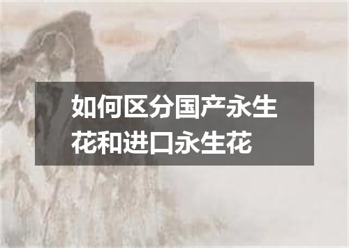 如何区分国产永生花和进口永生花