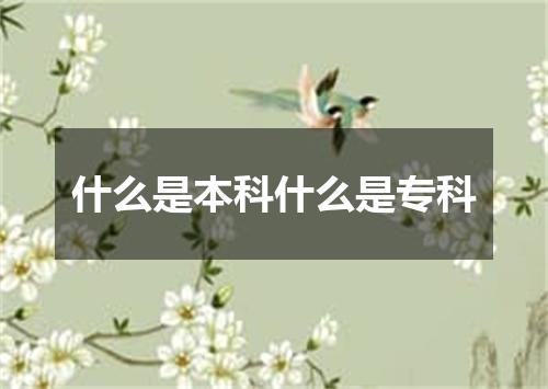 什么是本科什么是专科