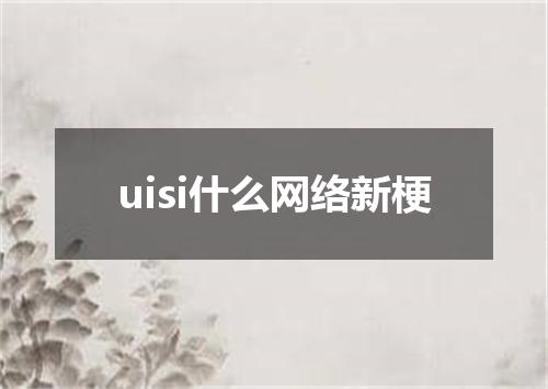 uisi什么网络新梗