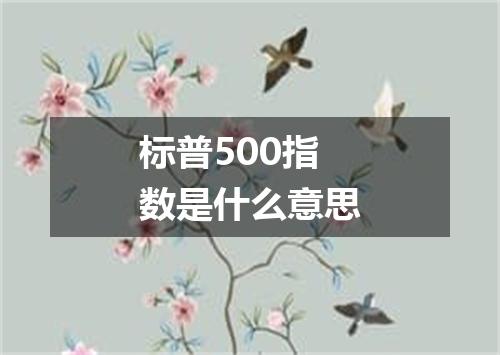 标普500指数是什么意思