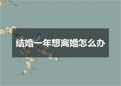 结婚一年想离婚怎么办