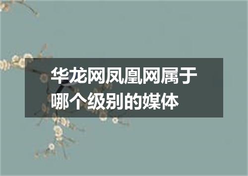华龙网凤凰网属于哪个级别的媒体