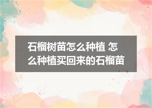 石榴树苗怎么种植 怎么种植买回来的石榴苗