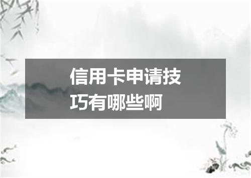 信用卡申请技巧有哪些啊