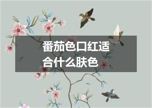 番茄色口红适合什么肤色