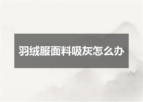 羽绒服面料吸灰怎么办
