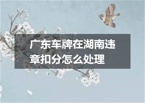 广东车牌在湖南违章扣分怎么处理