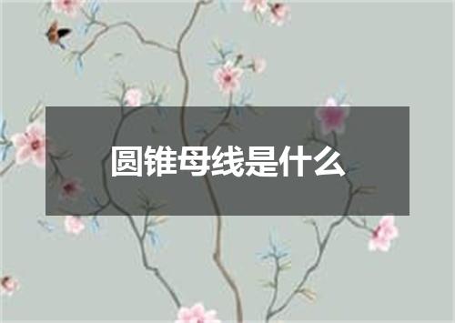 圆锥母线是什么