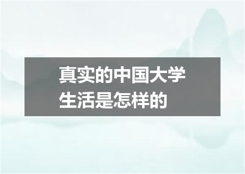 真实的中国大学生活是怎样的