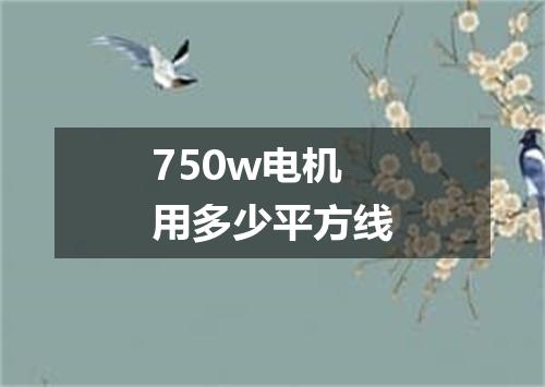750w电机用多少平方线