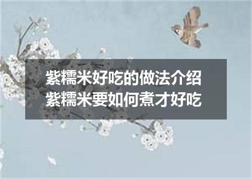 紫糯米好吃的做法介绍 紫糯米要如何煮才好吃