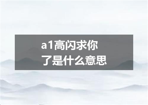 a1高闪求你了是什么意思