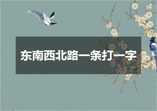 东南西北路一条打一字