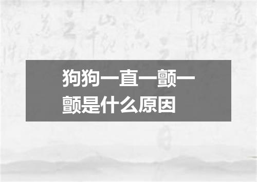 狗狗一直一颤一颤是什么原因