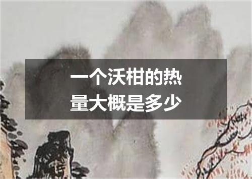 一个沃柑的热量大概是多少