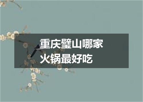 重庆璧山哪家火锅最好吃