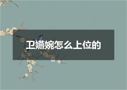 卫嬿婉怎么上位的