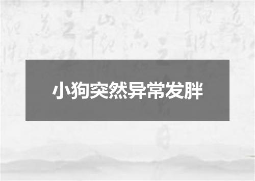 小狗突然异常发胖