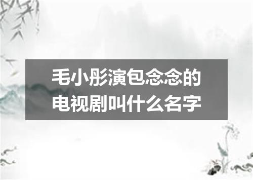 毛小彤演包念念的电视剧叫什么名字