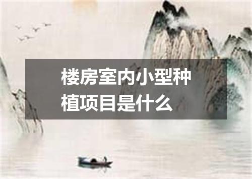 楼房室内小型种植项目是什么