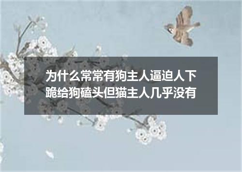为什么常常有狗主人逼迫人下跪给狗磕头但猫主人几乎没有