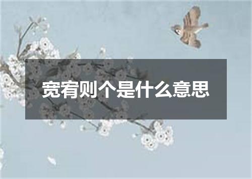 宽宥则个是什么意思